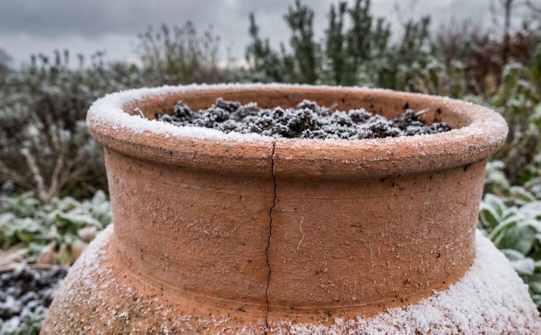 Will Pottery Crack in the Cold? The Real Risk Explained (2026)